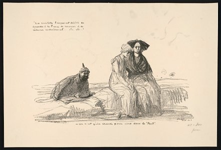 Les socialistes français ont décidé de demander à la France de renoncer à se réclamer exclusivement...etc. etc.... francais our decide de demander a la France de renoncer a se reclamer LCCN2015648243