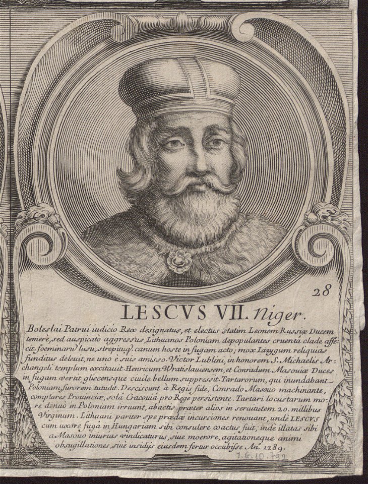 Lescus VII Niger (Benoît Farjat)