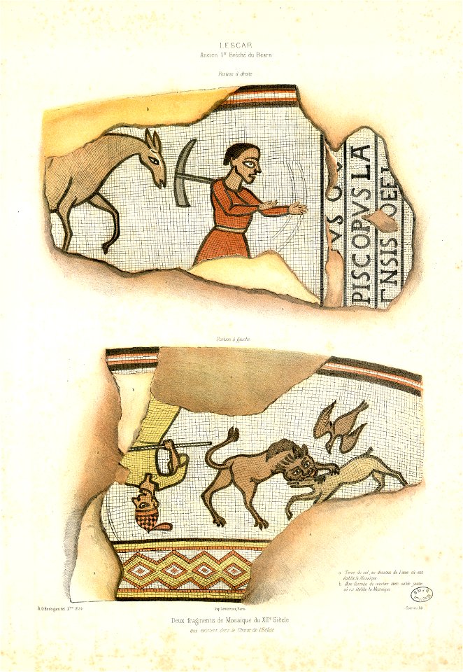 Lescar, ancien 1er évéché du Béarn - Deux fragments de mosaïque du XIIe siècle qui existent dans le Choeur de l'Eglise - Fonds Ancely - B315556101 A HOUBIGANT 048