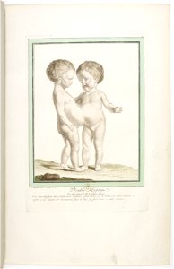Les écarts de la nature page11