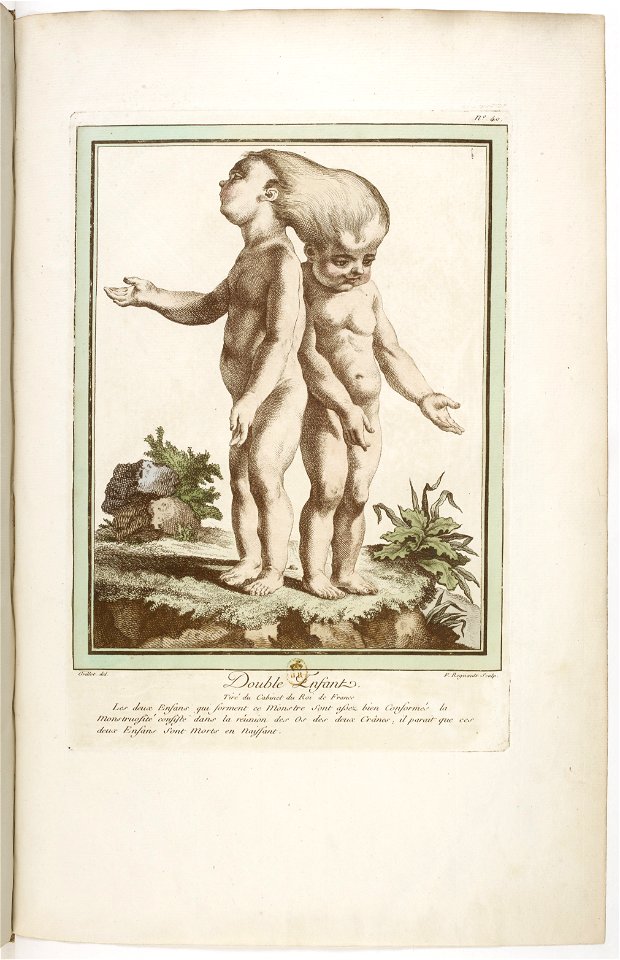 Les écarts de la nature page47