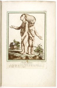 Les écarts de la nature page47
