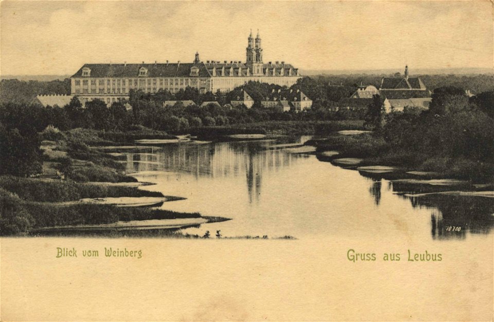 Leubus Kloster vom Weinberg