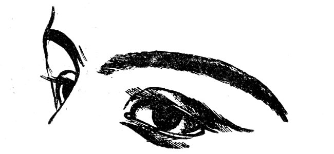 Lesmalheursdesop00comt 0073