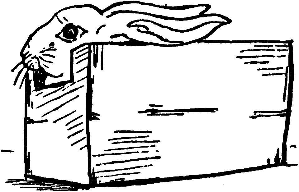 Letters from England, Rabbit