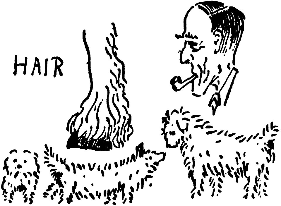 Letters from England, Hair
