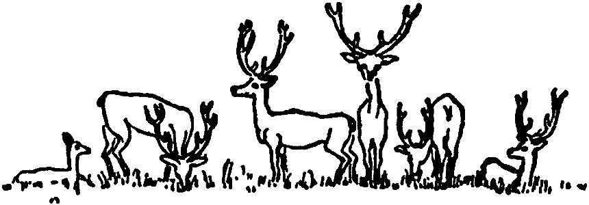 Letters from England, Animals