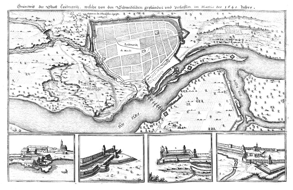 Leütmaritz (Merian)