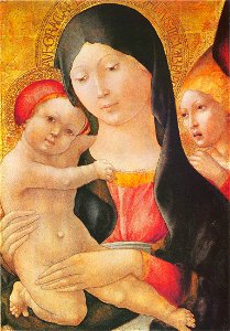 Liberale da Verona