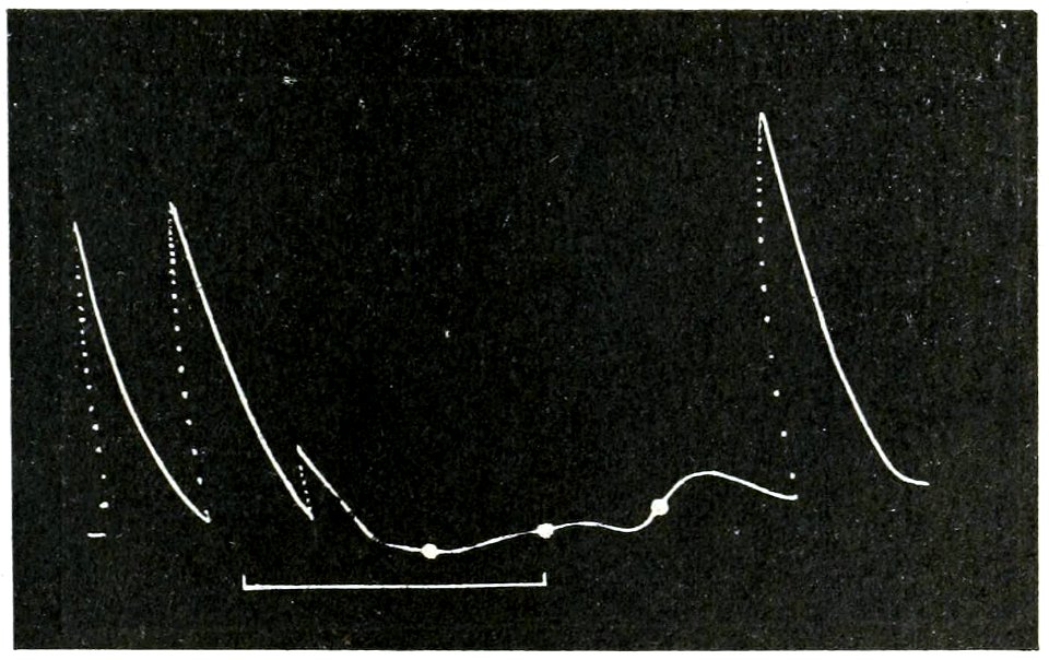 Life Movements in Plants Vol 1 Fig 21