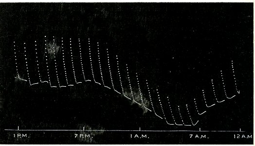 Life Movements in Plants Vol 1 Fig 29