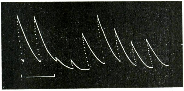Life Movements in Plants Vol 1 Fig 17