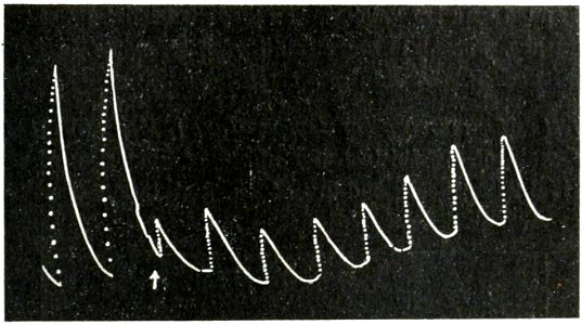 Life Movements in Plants Vol 1 Fig 19