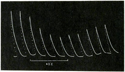 Life Movements in Plants Vol 1 Fig 22