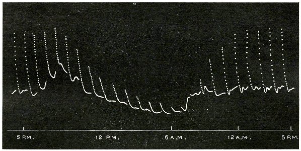 Life Movements in Plants Vol 1 Fig 23