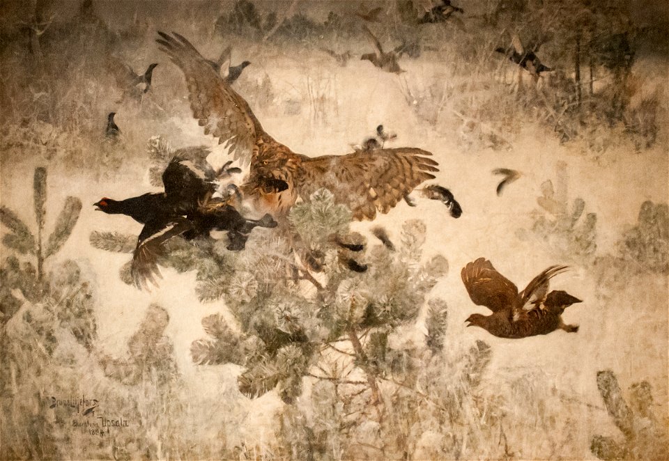 Liljefors - Hawk and Black-Game