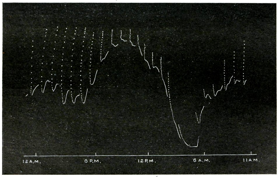 Life Movements in Plants Vol 1 Fig 27