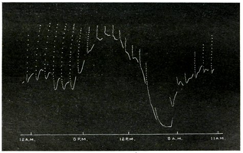 Life Movements in Plants Vol 1 Fig 27