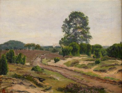 Lilla Gäde Blühende Heide