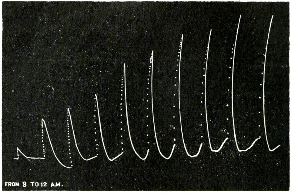 Life Movements in Plants Vol 1 Fig 26