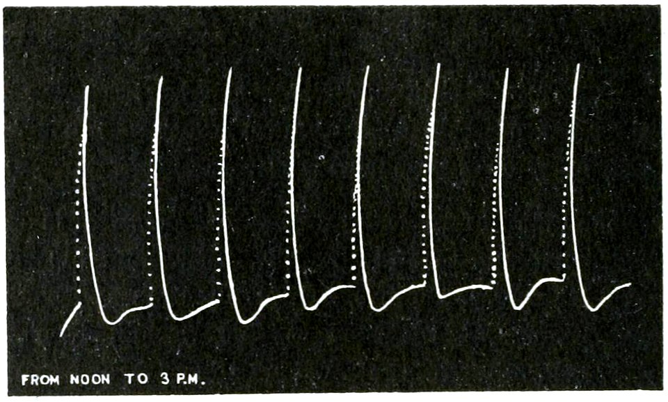 Life Movements in Plants Vol 1 Fig 24