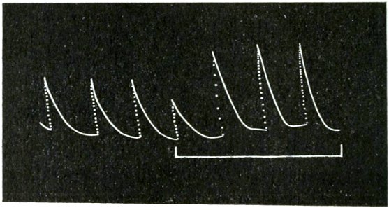 Life Movements in Plants Vol 1 Fig 18