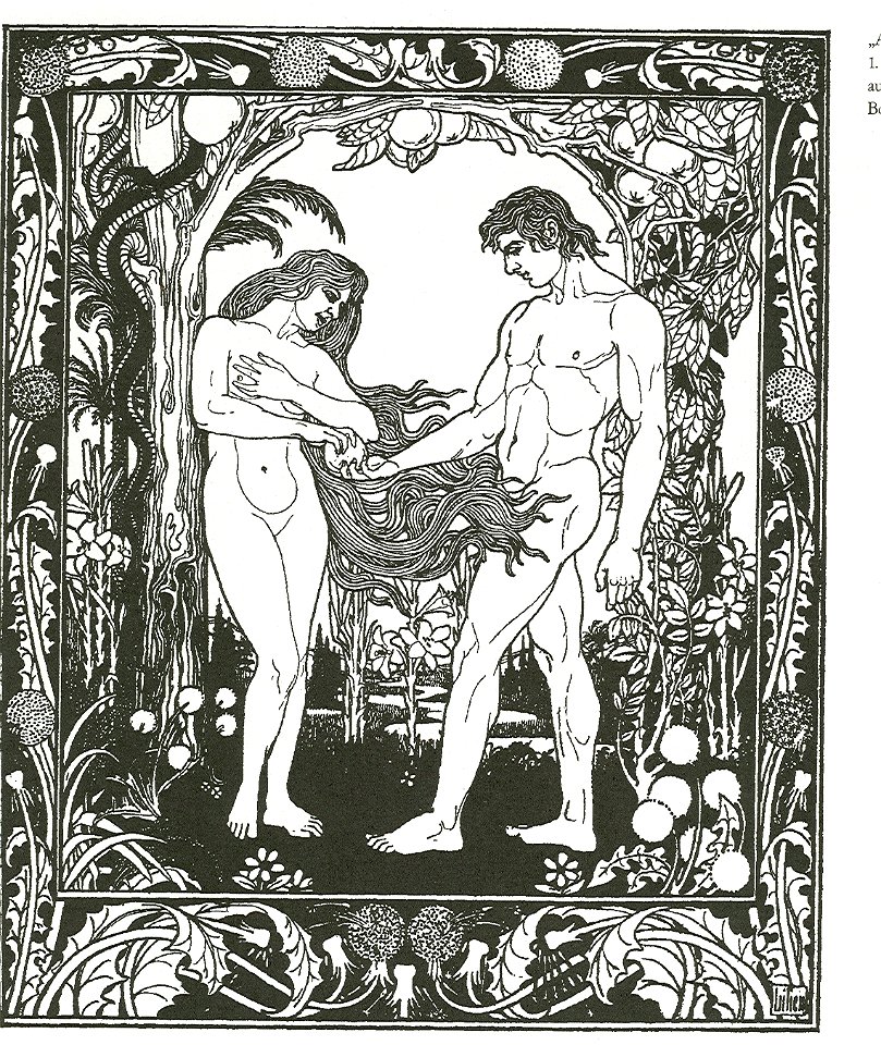 Lilien Adam und Eva