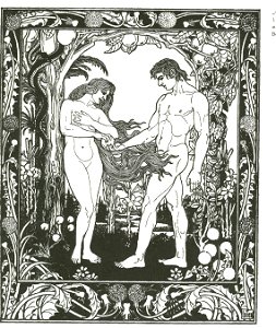 Lilien Adam und Eva