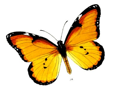 LimnasKlugiiF 9 1a