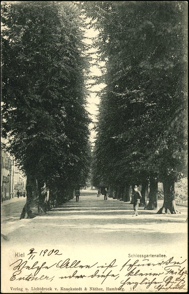 Lindenallee auf der Westseite vom Schlossgarten (Kiel 26.718)