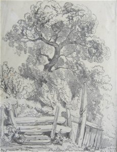 Lines family sketchbook - Stile and trees