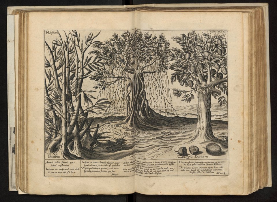 Linschoten - 1605 - Itinerario - UB Radboud Uni Nijmegen - 204757363 161