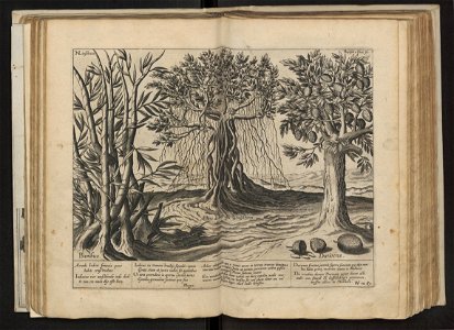 Linschoten - 1605 - Itinerario - UB Radboud Uni Nijmegen - 204757363 161