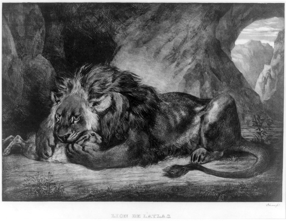 Lion de l'Atlas LCCN2002699633