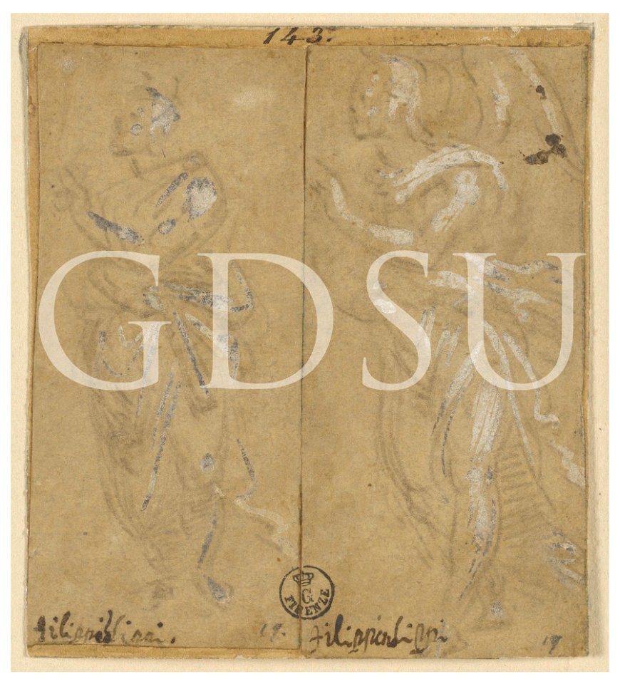 Lippi Filippino - inv 143 E