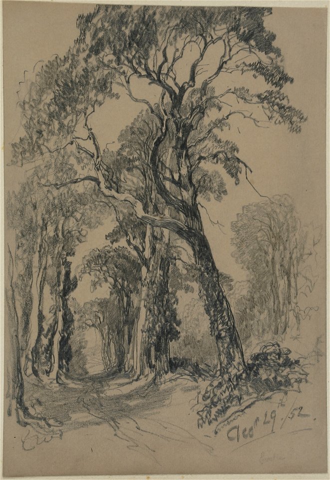 Lines family sketchbook - Woodland Track 023