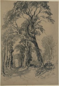 Lines family sketchbook - Woodland Track 023