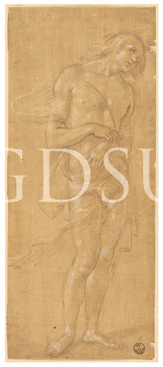 Lippi Filippino - inv 1252 E r
