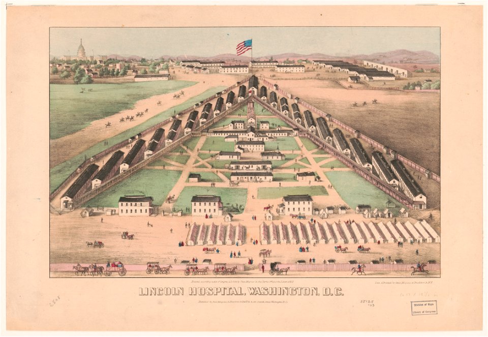 Lincoln Hospital, Washington, D.C. - lith. & printed by Chas. Magnus, 12 Frankfort St., N.Y.. LCCN2003671600