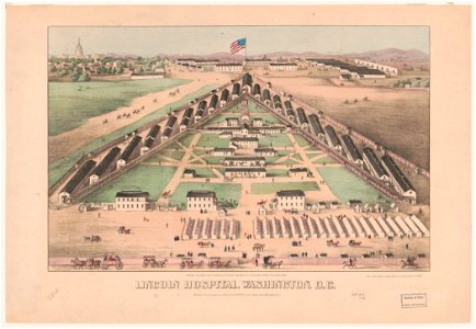 Lincoln Hospital, Washington, D.C. - lith. & printed by Chas. Magnus, 12 Frankfort St., N.Y.. LCCN2003671600