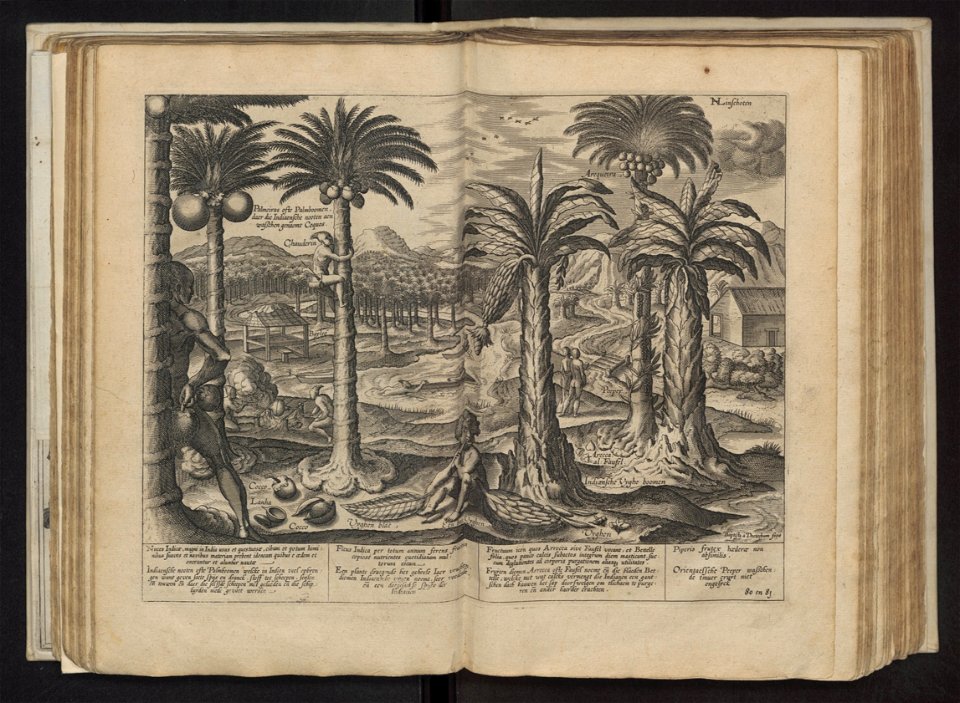 Linschoten - 1605 - Itinerario - UB Radboud Uni Nijmegen - 204757363 151