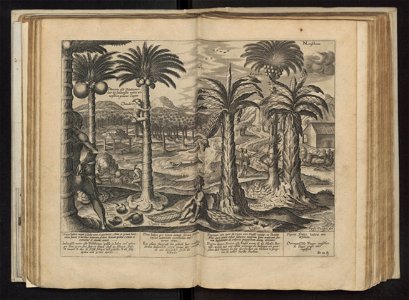 Linschoten - 1605 - Itinerario - UB Radboud Uni Nijmegen - 204757363 151