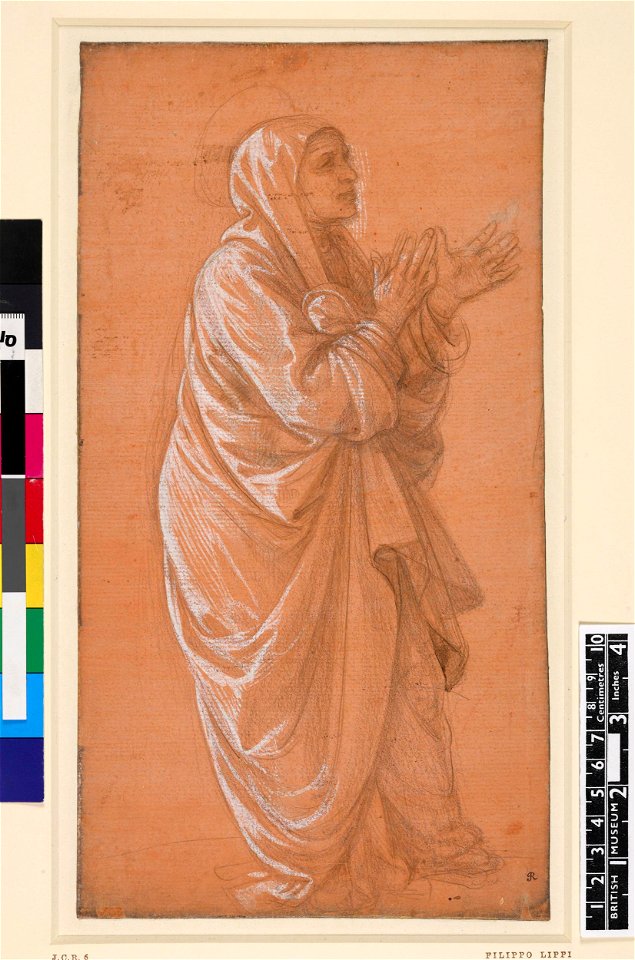 Lippi - A female saint standing to right, with hands held out, 1895,0915.442