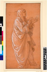 Lippi - A female saint standing to right, with hands held out, 1895,0915.442