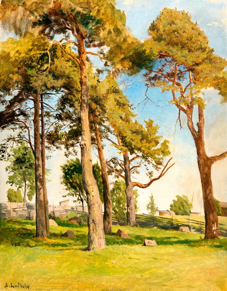 Lindholm Landskap med tallar