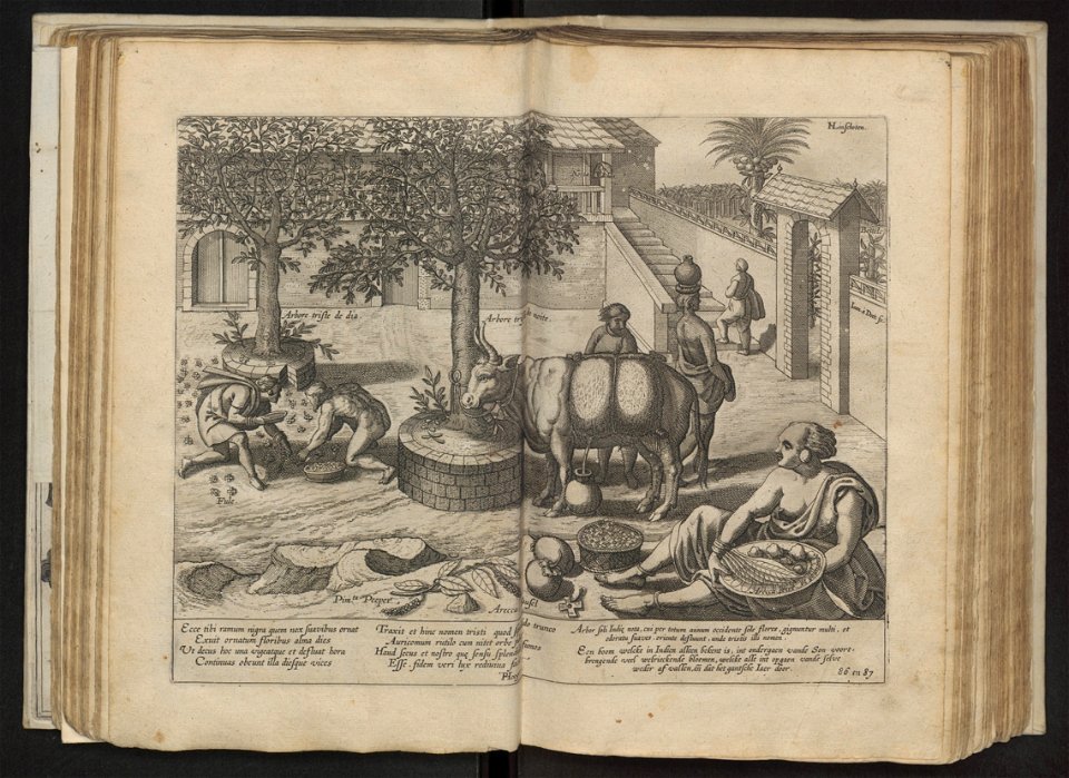 Linschoten - 1605 - Itinerario - UB Radboud Uni Nijmegen - 204757363 159