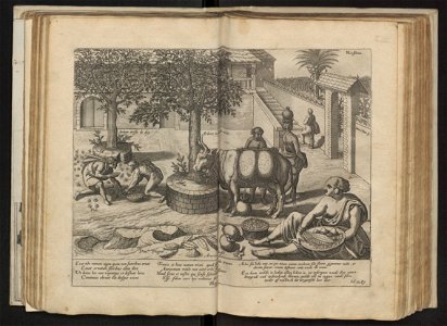 Linschoten - 1605 - Itinerario - UB Radboud Uni Nijmegen - 204757363 159