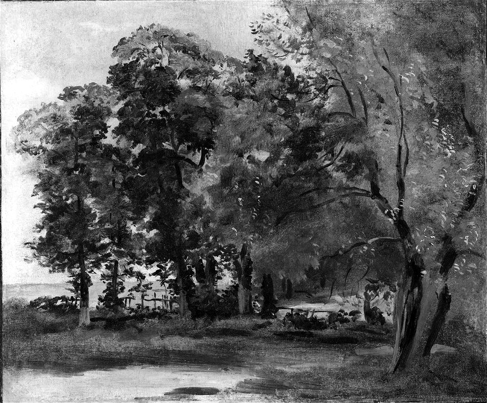 Lionel Bicknell Constable - A Glade - 46.398 - Museum of Fine Arts