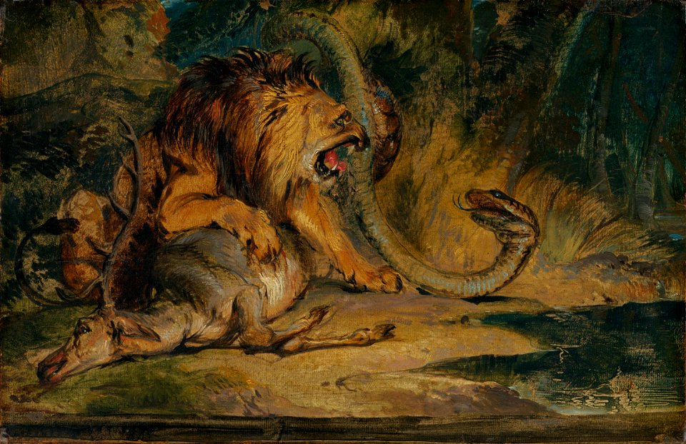Lion Defending its Prey A-6850205