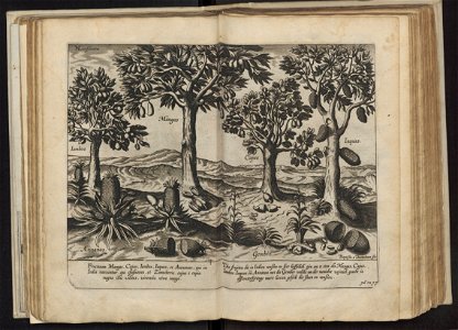Linschoten - 1605 - Itinerario - UB Radboud Uni Nijmegen - 204757363 145